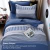 imageBlue Comforter Set Queen SizeBoho Striped Comforters for Boys ampamp Girls7 Pieces Bed in A Bag Simple NeutralStyle Bedding Sets for Kids TeenNavy Blue