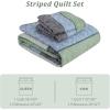 imageCottolester Queen Quilt Set 3 PiecesGray and Blue Striped Quilt SetBoho Farmhouse Bedspread Soft Microfiber Bedding Set for All Season 96quotx90quotGreen and Gray